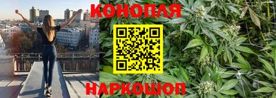 прущие грибы Заволжье