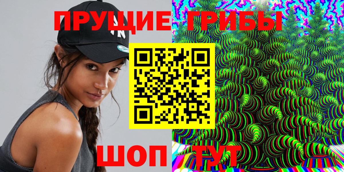 Псилоцибиновые грибы GOLDEN TEACHER Чернушка