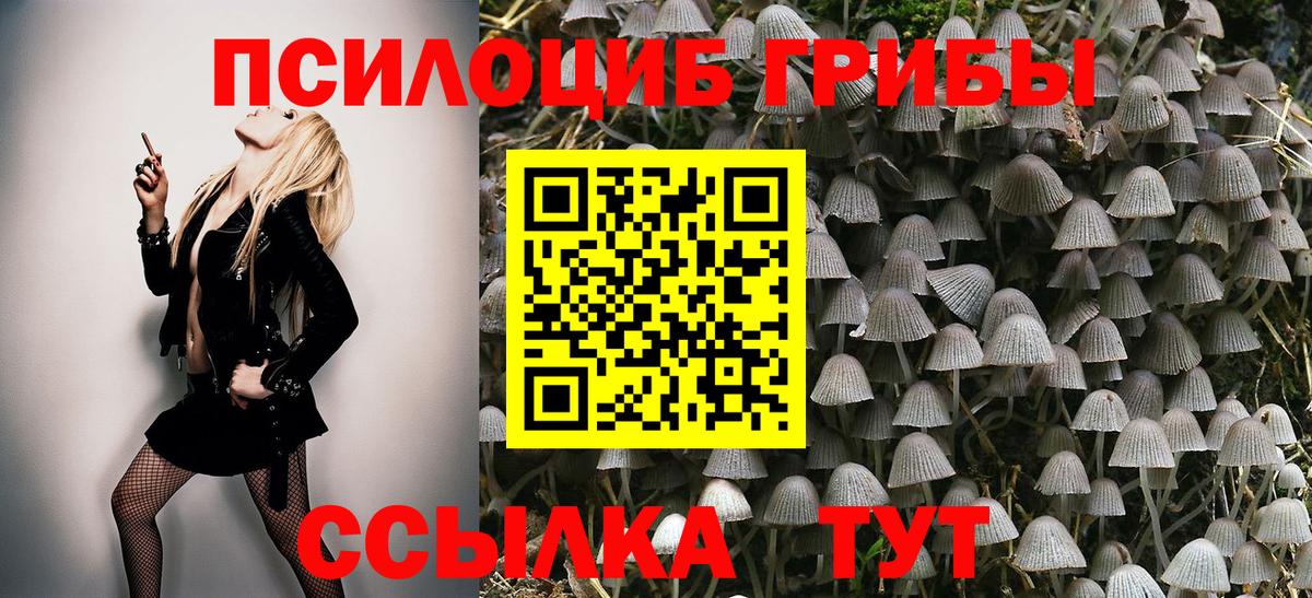Галлюциногенные грибы MAGIC MUSHROOMS  Галлюциногенные грибы Psilocybe  Чернушка  Вход с VPN 